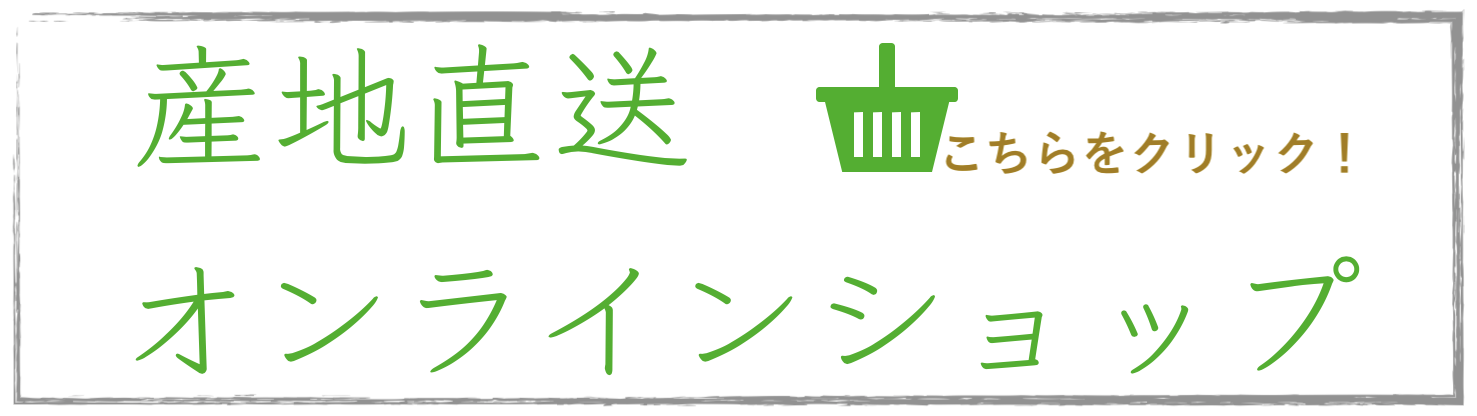 飛騨井下農園オンラインショップ産地直送